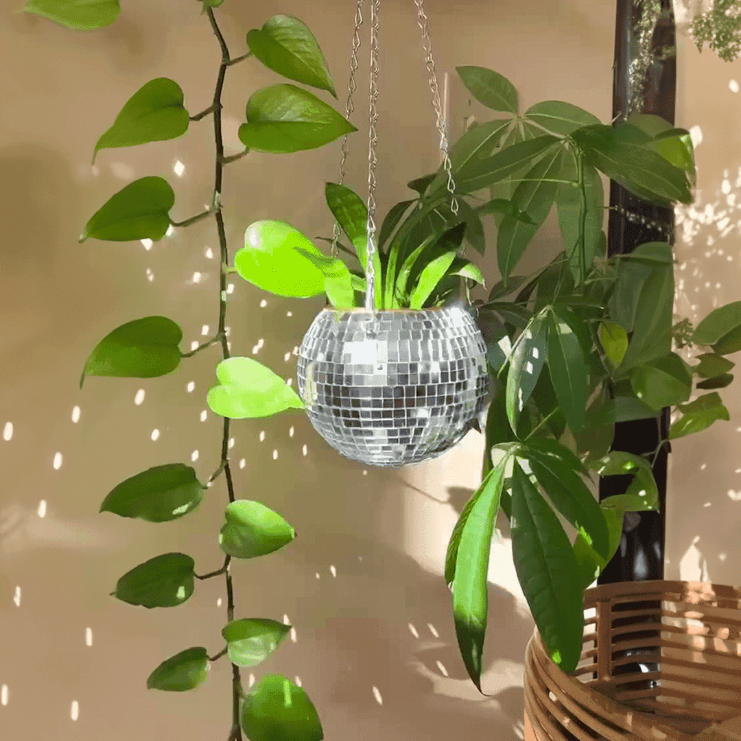 Dazzlo Indoor Hanging Planter – Mirrored Design for Stylish Space Efficiency 2