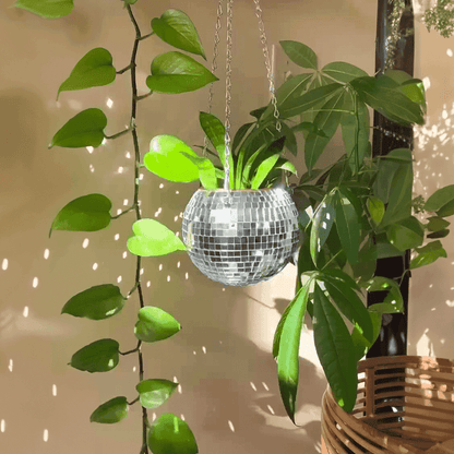 Dazzlo Indoor Hanging Planter – Mirrored Design for Stylish Space Efficiency 2