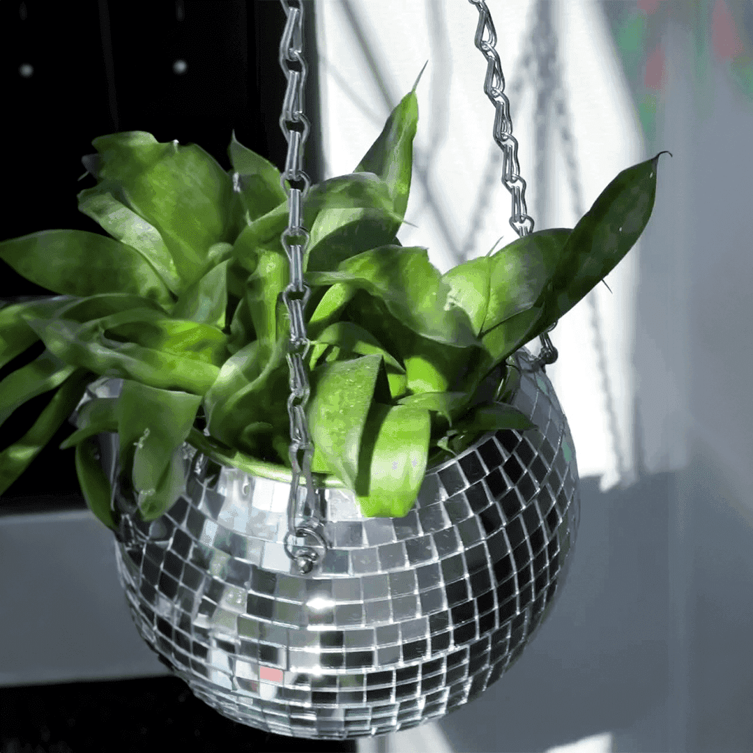 Dazzlo Indoor Hanging Planter – Mirrored Design for Stylish Space Efficiency 3