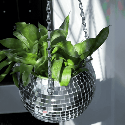 Dazzlo Indoor Hanging Planter – Mirrored Design for Stylish Space Efficiency 3