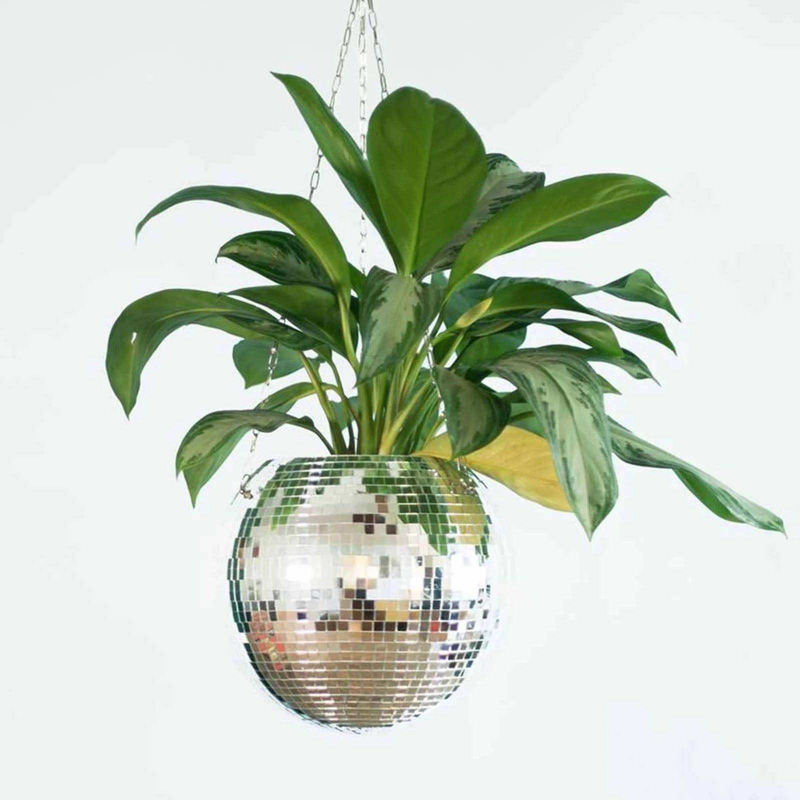 Dazzlo Indoor Hanging Planter – Mirrored Design for Stylish Space Efficiency 6